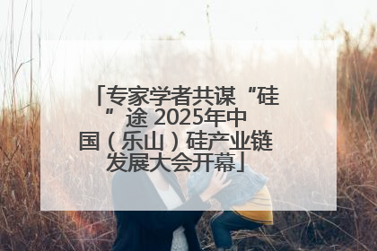 专家学者共谋“硅”途 2025年中国（乐山）硅产业链发展大会开幕