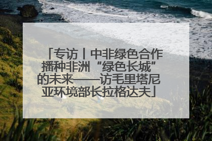 专访丨中非绿色合作播种非洲“绿色长城”的未来——访毛里塔尼亚环境部长拉格达夫