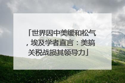世界因中美缓和松气，埃及学者直言：美搞关税战损其领导力