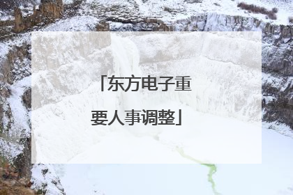 东方电子重要人事调整