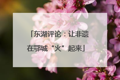 东湖评论：让非遗在鄂城“火”起来