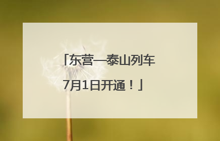 东营—泰山列车7月1日开通！