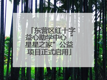 东营区红十字益心助学中心“星星之家”公益项目正式启用