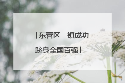 东营区一镇成功跻身全国百强