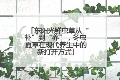 东阳光鲜虫草从“补”到“养”，冬虫夏草在现代养生中的新打开方式