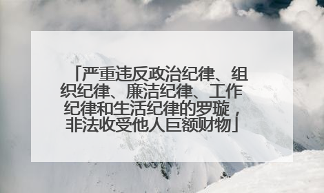 严重违反政治纪律、组织纪律、廉洁纪律、工作纪律和生活纪律的罗璇，非法收受他人巨额财物