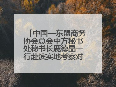 中国—东盟商务协会总会中方秘书处秘书长鹿德晶一行赴滨实地考察对接合作