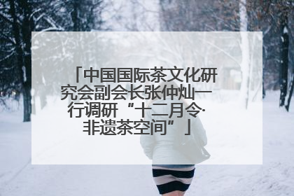 中国国际茶文化研究会副会长张仲灿一行调研“十二月令·非遗茶空间”