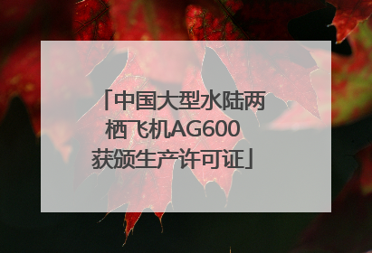 中国大型水陆两栖飞机AG600获颁生产许可证