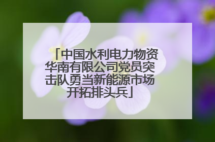 中国水利电力物资华南有限公司党员突击队勇当新能源市场开拓排头兵