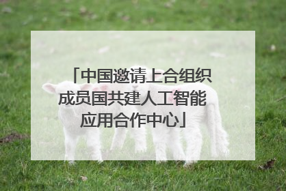 中国邀请上合组织成员国共建人工智能应用合作中心