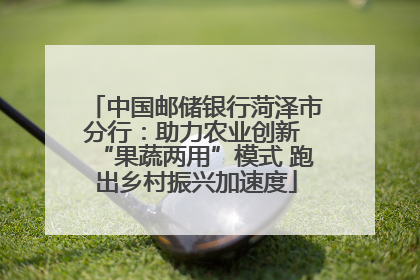 中国邮储银行菏泽市分行：助力农业创新 “果蔬两用”模式 跑出乡村振兴加速度