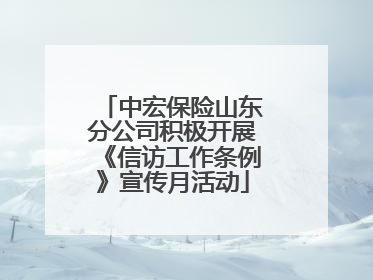 中宏保险山东分公司积极开展《信访工作条例》宣传月活动