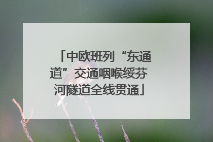 中欧班列“东通道”交通咽喉绥芬河隧道全线贯通
