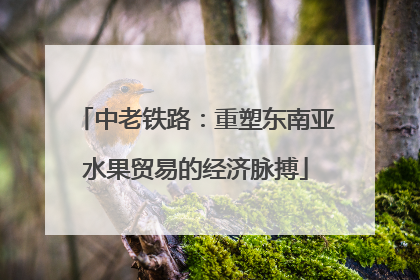 中老铁路：重塑东南亚水果贸易的经济脉搏