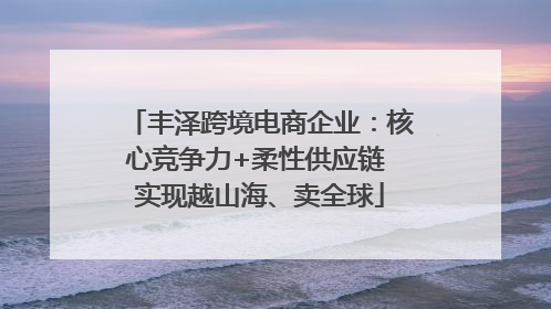 丰泽跨境电商企业：核心竞争力+柔性供应链 实现越山海、卖全球