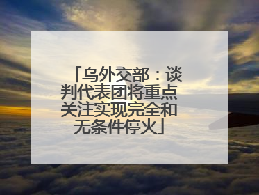 乌外交部：谈判代表团将重点关注实现完全和无条件停火