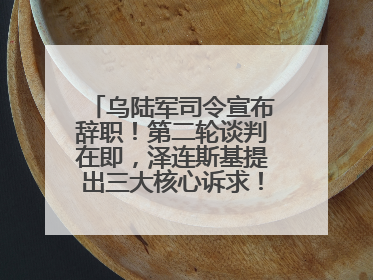 乌陆军司令宣布辞职！第二轮谈判在即，泽连斯基提出三大核心诉求！乌方透露摧毁41架俄战略轰炸机