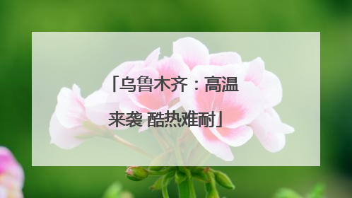 乌鲁木齐：高温来袭 酷热难耐