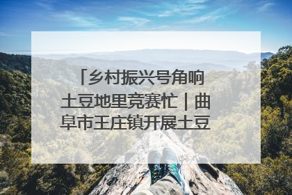 乡村振兴号角响 土豆地里竞赛忙｜曲阜市王庄镇开展土豆收获劳动竞赛