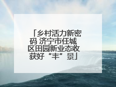 乡村活力新密码 济宁市任城区田园新业态收获好“丰”景