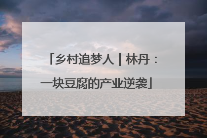 乡村追梦人｜林丹：一块豆腐的产业逆袭