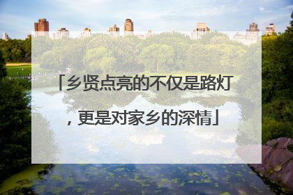 乡贤点亮的不仅是路灯，更是对家乡的深情