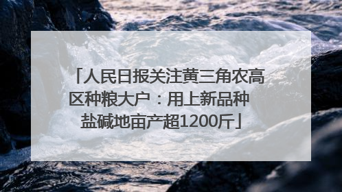 人民日报关注黄三角农高区种粮大户：用上新品种 盐碱地亩产超1200斤