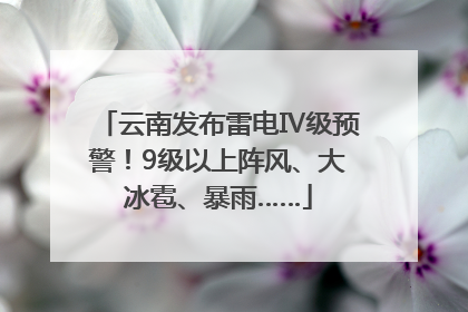 云南发布雷电Ⅳ级预警！9级以上阵风、大冰雹、暴雨……