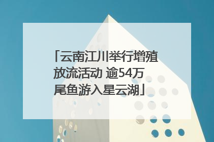 云南江川举行增殖放流活动 逾54万尾鱼游入星云湖