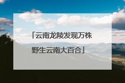 云南龙陵发现万株野生云南大百合