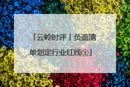 云岭时评丨负面清单划定行业红线③