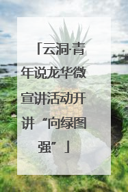 云洞·青年说龙华微宣讲活动开讲“向绿图强”