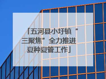 五河县小圩镇“三聚焦”全力推进夏种夏管工作