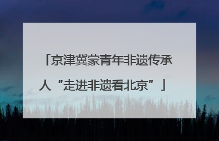 京津冀蒙青年非遗传承人“走进非遗看北京”