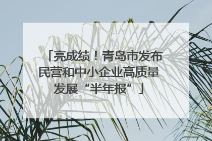 亮成绩！青岛市发布民营和中小企业高质量发展“半年报”