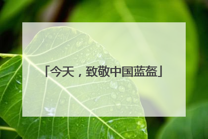 今天，致敬中国蓝盔