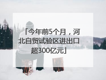 今年前5个月，河北自贸试验区进出口超300亿元