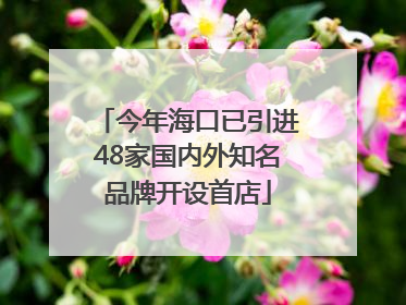 今年海口已引进48家国内外知名品牌开设首店