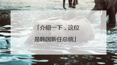 介绍一下，这位是韩国新任总统
