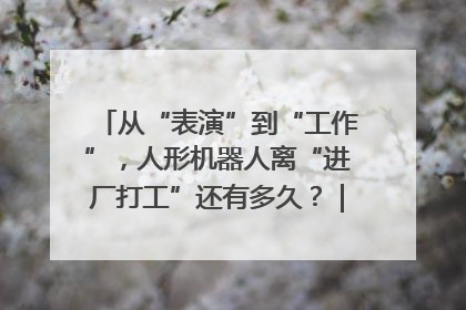 从“表演”到“工作”，人形机器人离“进厂打工”还有多久？｜机器人商业新纪元