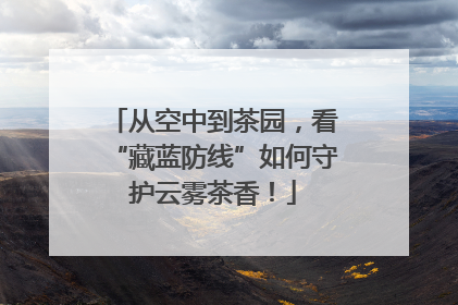 从空中到茶园，看“藏蓝防线”如何守护云雾茶香！