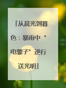 从晨光到暮色：暴雨中“电骡子”逆行送光明