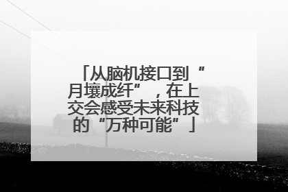从脑机接口到“月壤成纤”，在上交会感受未来科技的“万种可能”