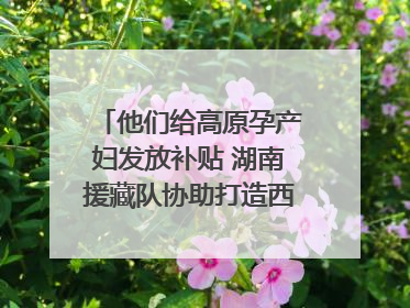 他们给高原孕产妇发放补贴 湖南援藏队协助打造西藏首家高原产儿协同中心