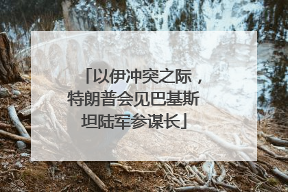 以伊冲突之际，特朗普会见巴基斯坦陆军参谋长