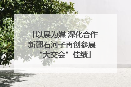以展为媒 深化合作 新疆石河子再创参展“大交会”佳绩