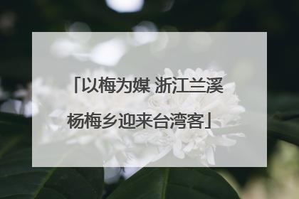 以梅为媒 浙江兰溪杨梅乡迎来台湾客