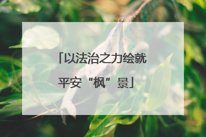 以法治之力绘就平安“枫”景