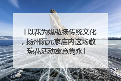以花为媒弘扬传统文化，扬州阮元家庙内这场敬琼花活动寓意隽永